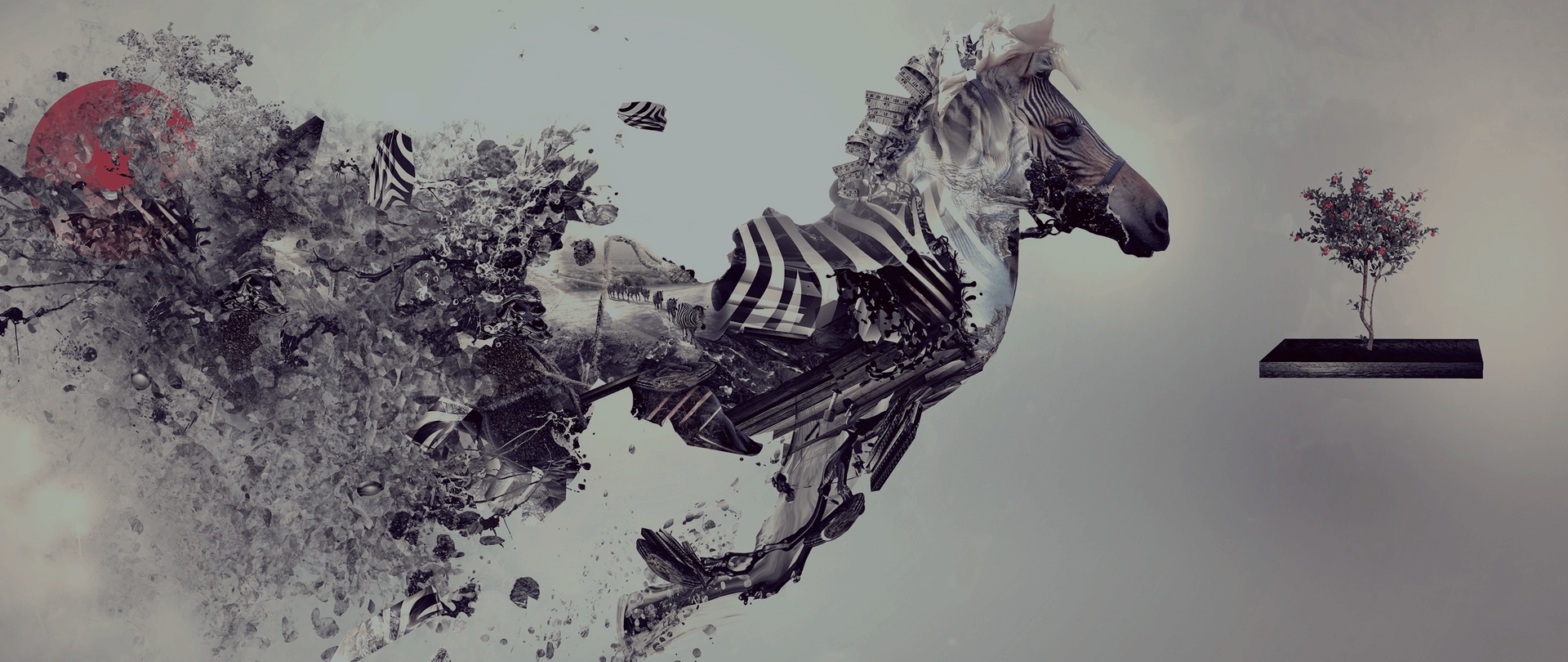 Image Title My Image